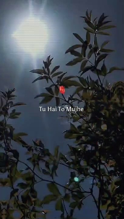 Tu hy to mujy phr or Kya chahy status video