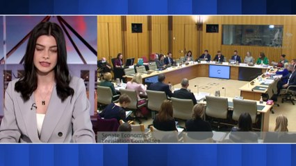Treasury address Senate Estimates over PwC scandal