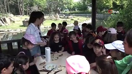 Minikler lemurları elleriyle besledi