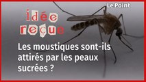 Les moustiques préfèrent-ils vraiment les peaux sucrées ?