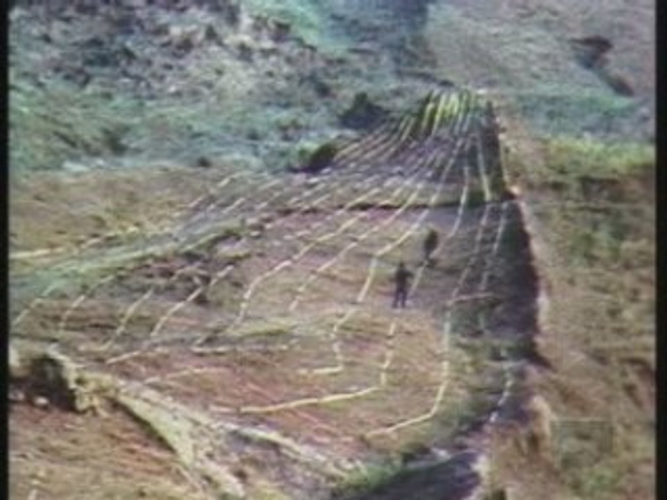 Documentaire - Les Archives Oubliees - L'Arche de Noé 2