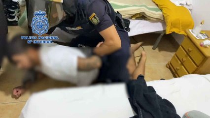 Así ha sido el resumen de la macroperación policial contra el tráfico de drogas en Elche y Vega Baja