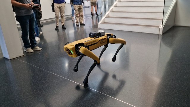 Robot perro acelerador partículas Granada IFMIF DONES