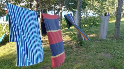 Are You Washing Your Towels Enough?