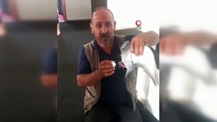 Okulda mahsur kalan güvercin çalışanlar tarafından kurtarıldı