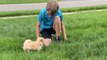 Sweet boy has a gentle reaction to a cute puppy surprise *Wholesome moment*