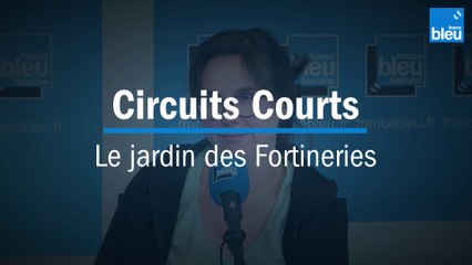 Circuits Courts