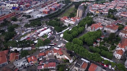 Caminhos da História - As árvores no Senhor de Matosinhos