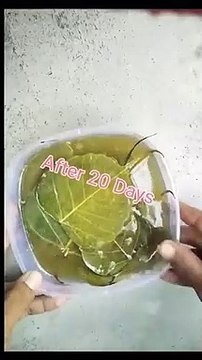 Handicraft’s items at home #shorts #ytshorts #handmade #handicrafts