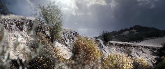 Su único hijo Tráiler