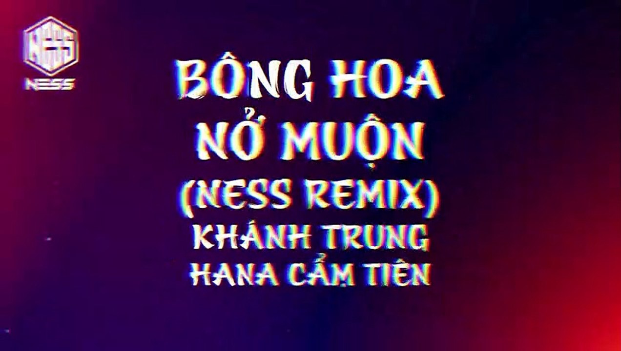 KARAOKE REMIX / BÔNG HOA NỜ MUỘN