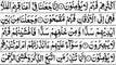 Surah Yasin Yaseen  Sheikh Abu Bakr Al Shatri  Al Quran Recitation With Arabic Text_1080p