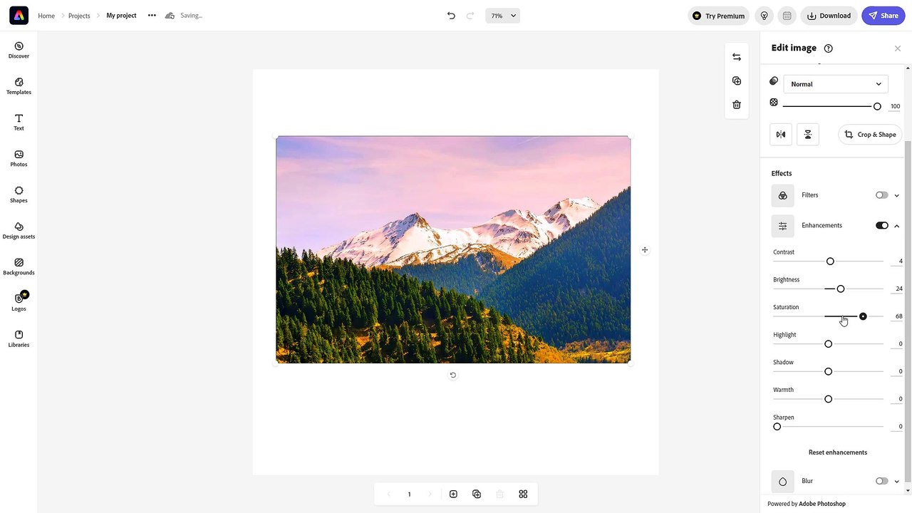 Adobe Express Course Section 11 Image Enhancements