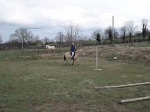 parcours au trot avec Pierre