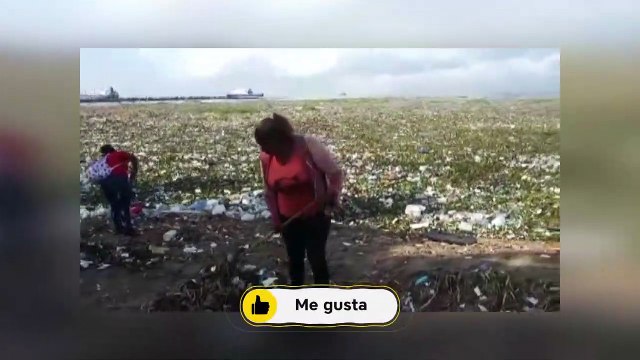 Basura se adueña de la playa Montesinos