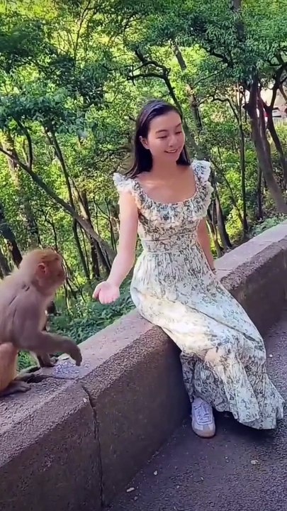 Monkey Business Unleashed