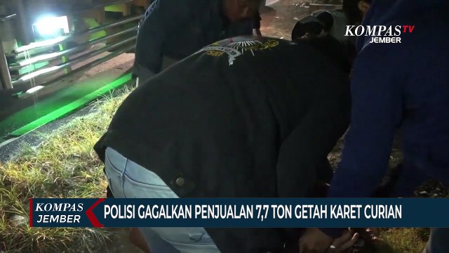 Polisi Gagalkan Penjualan 7,7 Ton Getah Karet Curian di Jember