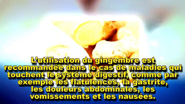 Les propriétés médicinales méconnues du gingembre