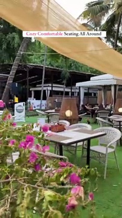 Feel The Goa Vibes In Pune ♻️ @plant_lounge_cafe