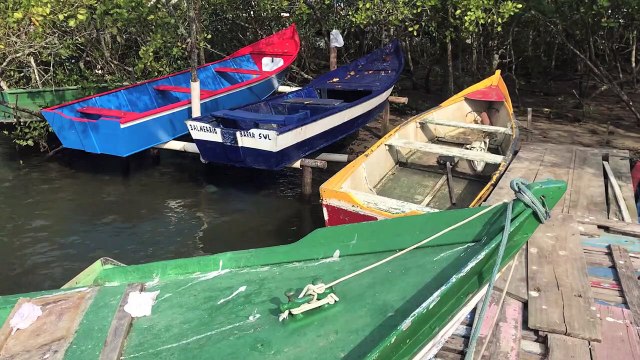 Maré de Conflitos Trailer