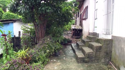 Casos de Leptospirose preocupam médicos