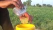 किसान कीटनाशक की जगह मूंग की फसल में कर रहे शराब का छिड़काव- देखें फायदा