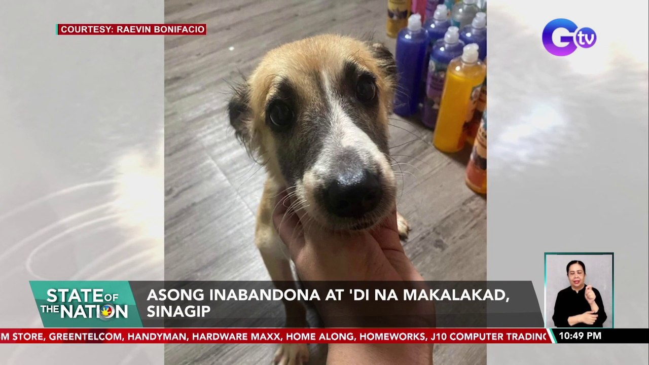 Asong inabandona at 'di na makalakad, sinagip | SONA
