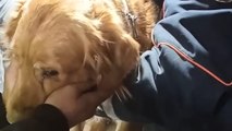 Dog Rescued from Turkey Earthquake Rubble after 138 Hours!!