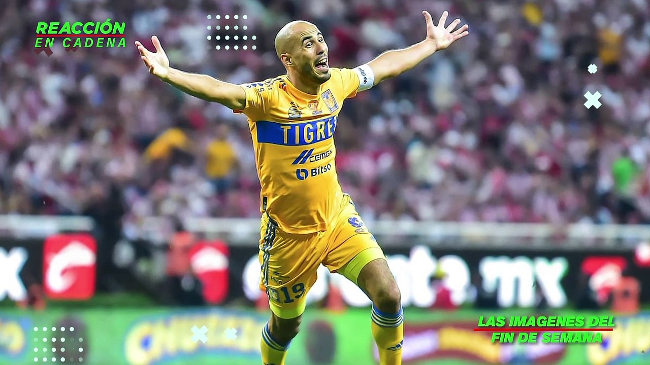 La agresión a los Tigres, el misterioso papelito y las burlas de los jugadores de Tigres