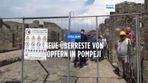 Glücksfall für die Wissenschaft: drei neue Opfer des Vulkanausbruchs im antiken Pompeji entdeckt