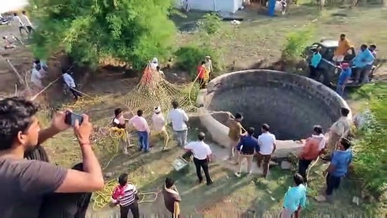 देखिए - कुएं में गिरे 6 जंगली सूकर का रेस्क्यू