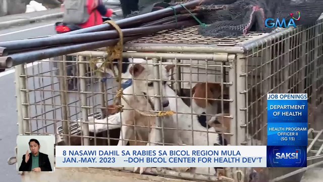 8 nasawi dahil sa rabies sa Bicol Region mula Jan.- May. 2023 — DOH Bicol Center for Health Dev't | Saksi