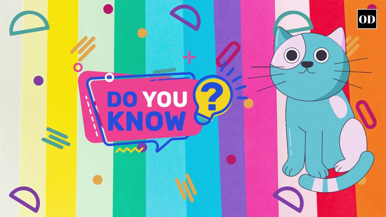 Purrfectly Fascinating: Unveiling Astonishing Facts About Cats!