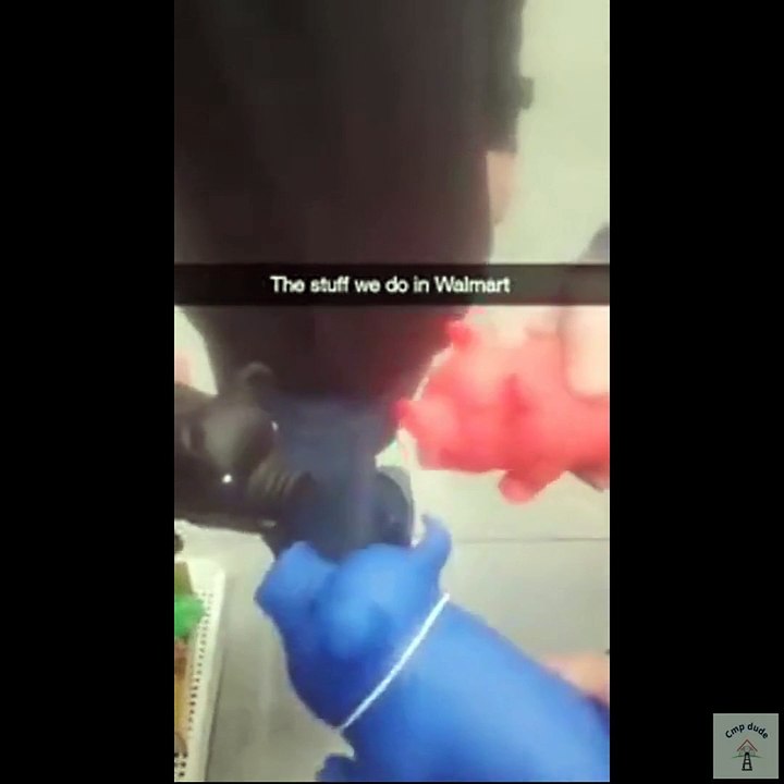 Memes and Animals Compilation 115