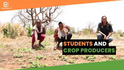 Burkina Faso: Students and crop producers