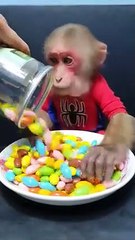 Cute Monkey Review Seven Color Chocolate Candy