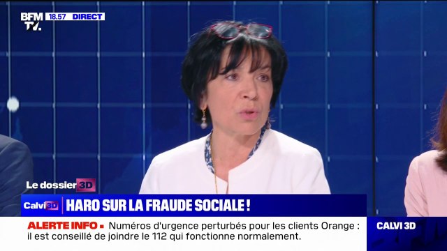 Fraude sociale: pour Christine Pirès-Beaune (PS), il faut davantage agir sur la fraude en bande organisée