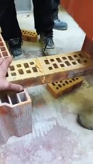 On teste des colles différentes sur de la brique