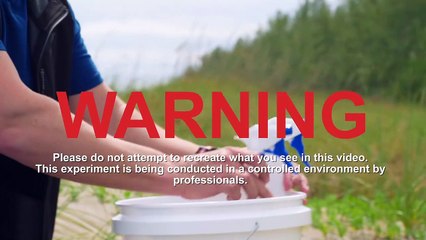 STUNG by a Man O' War Jellyfish!