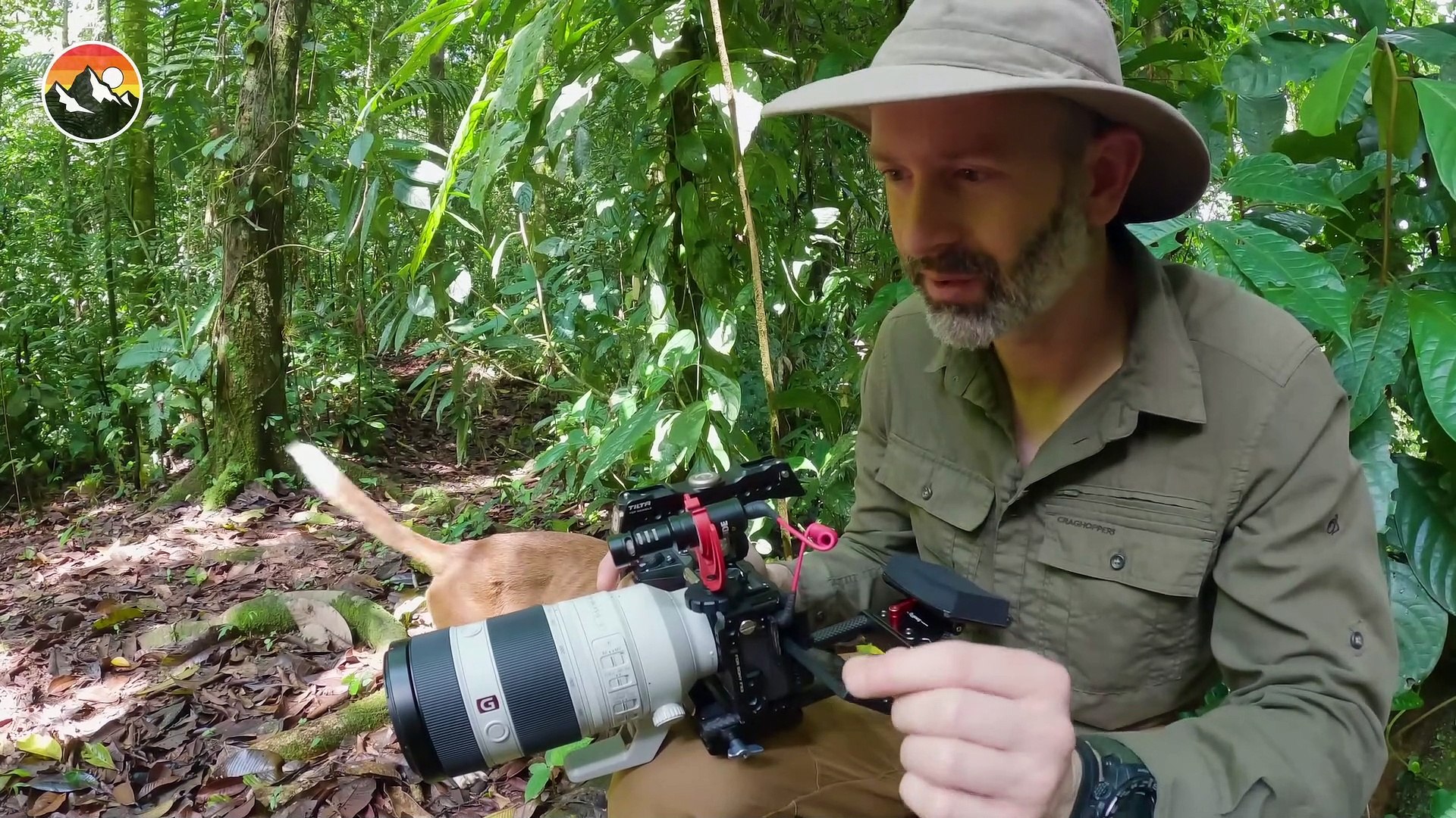 ⁣Bullet Ant Challenge - Will It Sting! (2)