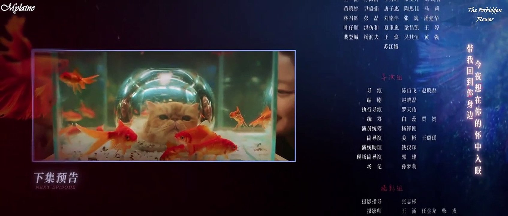 Teaser 13 The Forbidden Flower