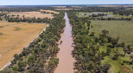 Condamine River Portfolio | May 31, 2023 | Farmonline