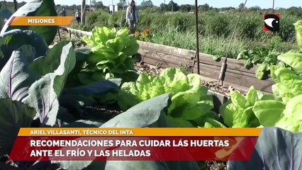 Recomendaciones para cuidar las huertas ante el frío y las heladas