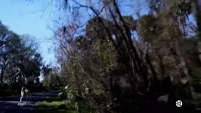 SEXE MEURTRES ET MENSONGES Le secret de la BABY-SITTER