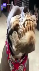 انطلق في جولة مليئة بالضحك اللا متناهي مع تحديات مضحكة وفعاليات ممتعة