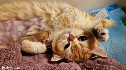 Melania and her only surviving daughter, Pinky..