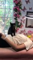 Kitty Helps Pamper Clients