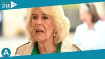 Le saviez-vous ? Le titre de Camilla changera quand William sera roi