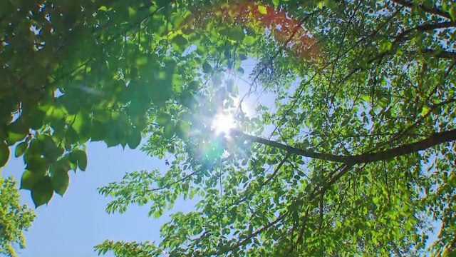 [날씨] 오늘도 서쪽 낮 더위, 서울 28℃...남해안·제주 비 / YTN