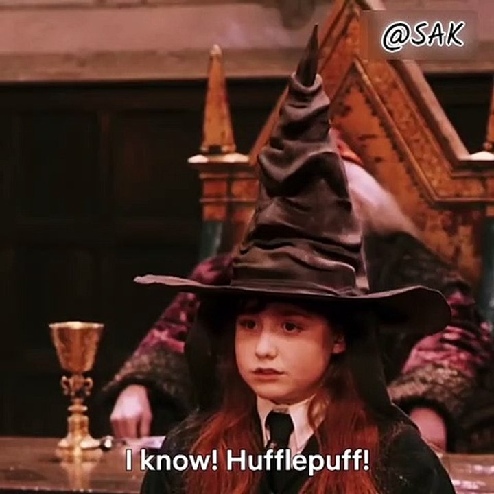 Herry Potter latest episode (new series on Netflix)